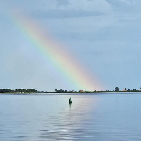 Welkom In Mijn Studio Bij Het Snekermeer ! Offingawier Exterior photo